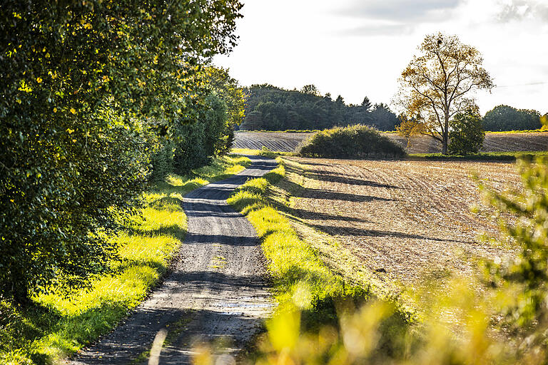 Der Rennweg, jener bedeutende Wander- und Radweg von Bamberg durch die Haßberge ins Grabfeld, könnte in den Heiligen Ländern in einem besseren Zustand sein, bemängelt ein Kritiker. Der Rennweg, jener bedeutende Wander- und Radweg von Bamberg durch die Haßberge ins Grabfeld, könnte in den Heiligen Ländern in einem besseren Zustand sein, bemängelt ein Kritiker.