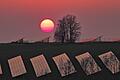 Photovoltaik im Sonnenuntergang bei Obernbreit: Im Landkreis Kitzingen gibt es laut einer Studie des Instituts der Deutschen Wirtschaft (IW) flächenmäßig besonders viele Solaranlagen.