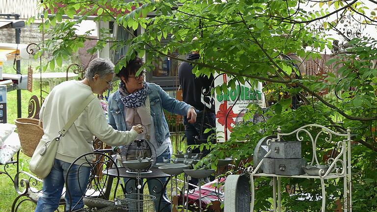 An Pfingsten waren die Gartenträume 2024 in Traustadt ein Pflichttermin für alle Gartenfreunde. Bei der traditionellen „Kreisgartenschau“ zeigten die rund 80 Aussteller Dekoratives und Nützliches für Garten und Balkon, Pflanzen natürlich inbegriffen.