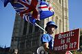 BRITAIN-EU-POLITICS-BREXIT-DEMO       -  Ein Anti-Brexit-Aktivist demonstriert vor dem Parlament in London.