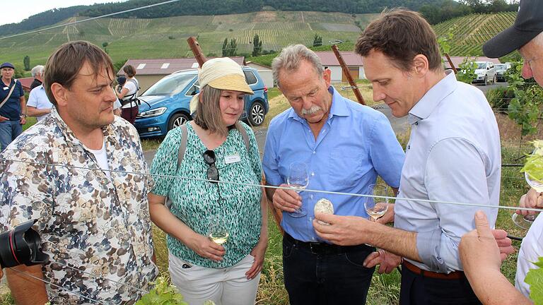 Hohen Besuch aus dem bayerischen Landtag: Das gipshaltige Gestein in den Iphöfer Weinbergen musterte Grünen-Fraktionschef Ludwig Hartmann (rechts) hier mit (von links) Matthias Popp, Eva Trapp und Paul Knoblach.