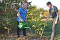 Auch ein Bienenbaum fand Platz auf der Streuobstwiese am Schonunger Kreuzberg. Im Bild Rene Dietlein (links) und Florian Stark.