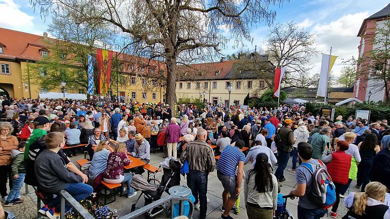 Das Spektakel der traditionellen Maibaumaufstellung mit reiner Muskelkraft durch die Freiwillige Feuerwehr Veitshöchheim auf dem überfüllten Erwin Vornberger Platz vor dem Rathaus am Vorabend des 1. Mai verfolgten an die 800 Gäste.