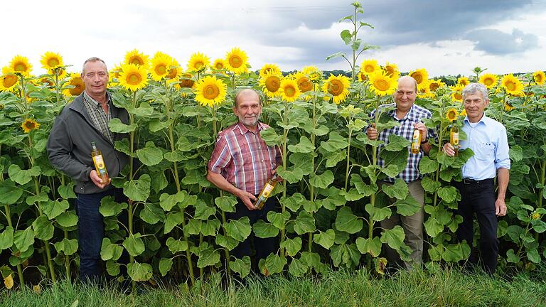 Ortstermin im Juli 2020 am blühenden Sonnenblumenfeld von Burkard Graber (links): Der 2. Vorsitzende der Erzeugergemeinschaft steht neben (weiter von links) Geschäftsführer Rudolf Schaller, Gerd Düll (Leiter des Amtes für Ernährung, Landwirtschaft und Forsten) und dem Vorsitzenden Herbert Pfriem.