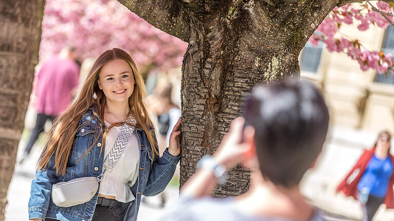 Ostermontag in Mainfranken       -  Zahlreiche Menschen tummeln sich am Ostermontag (18.04.22) im Hofgarten der Residenz in Würzburg. Die Kirschblüte lockt jedes Jahr im April viele Besucher in die Gartenanlage.