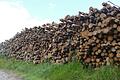 Holz aus dem Stadtwald ließ sich zuletzt gut verkaufen.