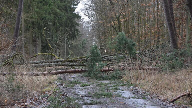 Weg blockiert:&nbsp; Im Wald zwischen Hendungen und Wargolshausen soll es zu größeren Schäden gekommen sein, aber für eine abschließende Bilanz ist es noch zu früh.