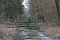 Weg blockiert:&nbsp; Im Wald zwischen Hendungen und Wargolshausen soll es zu größeren Schäden gekommen sein, aber für eine abschließende Bilanz ist es noch zu früh.