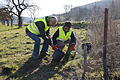 Amphibienschutz Obereschenbach       -  Gerhard Hopp und Marion Meder überprüfen jeden Morgen den 390 Meter langen Schutzzaun an der B27 bei Obereschenbach.