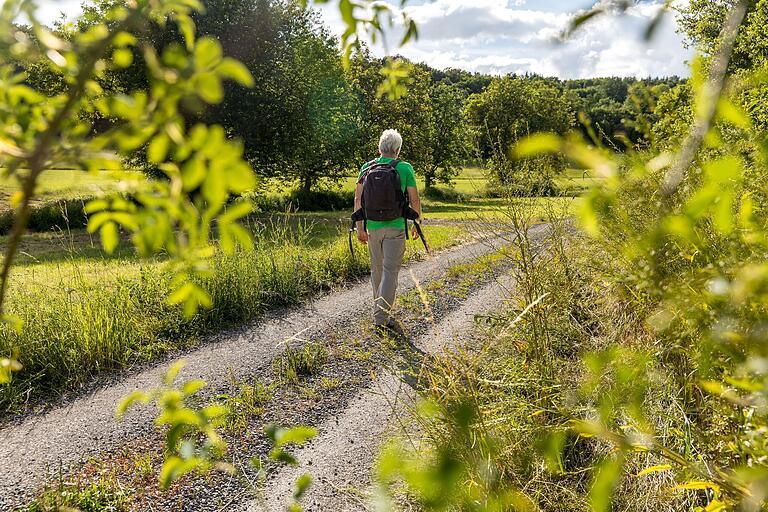 Wandern auf dem Erlebnispfad 'Im G´spring' in Zellingen.