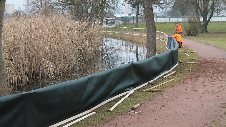 Maßnahmen gegen Nilgänse: Die Mitarbeiter des städtischen Bauhofs stellen 90 Zentimeter hohe Zäune rund um die Marktheidenfelder Maradiesseen auf. Maßnahmen gegen Nilgänse: Die Mitarbeiter des städtischen Bauhofs stellen 90 Zentimeter hohe Zäune rund um die Marktheidenfelder Maradiesseen auf.