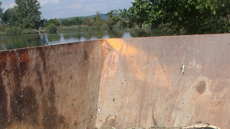 Fischsterben       -  Fischsterben am Großen Wörthsee bei Haßfurt.