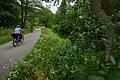 Tour im Grünen: Immer wieder eröffnen sich im Sinntal vom Radweg aus Blicke auf den Fluss, zum Beispiel kurz vor Burgsinn (Lkr. Main-Spessart).