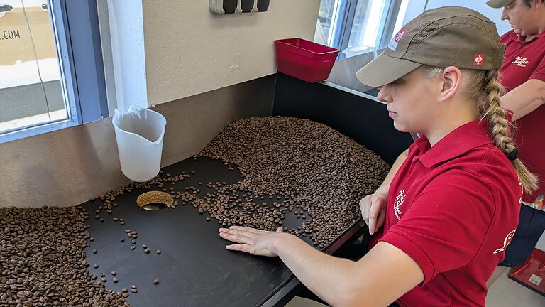 Anna Anding sortiert die Steinchen und andere Fremdkörper aus den Kaffeebohnen heraus. - Anna Anding sortiert die Steinchen und andere Fremdkörper aus den Kaffeebohnen heraus. Anna Anding sortiert die Steinchen und andere Fremdkörper aus den Kaffeebohnen heraus. - Anna Anding sortiert die Steinchen und andere Fremdkörper aus den Kaffeebohnen heraus.