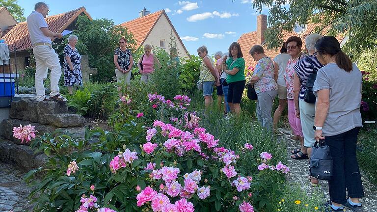 Die Rosen standen in voller Blüte und ein betörender Duft durchzog die Anlage. Dr. Albrecht Garsky, Leiter der Erwachsenenbildung Schweinfurt, stellte die Konzeption des Bibelgartens vor. Die Rosen standen in voller Blüte und ein betörender Duft durchzog die Anlage. Dr. Albrecht Garsky, Leiter der Erwachsenenbildung Schweinfurt, stellte die Konzeption des Bibelgartens vor.