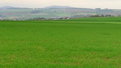 Blick Richtung Stadt von dem Feld von Robert Mack aus, das der Landwirt für eine Maschinenhalle vorgesehen hat. Die Wohnhäuser am Hainberg sind nicht zu sehen, weil sie unter der Hangkrümmung liegen. Blick Richtung Stadt von dem Feld von Robert Mack aus, das der Landwirt für eine Maschinenhalle vorgesehen hat. Die Wohnhäuser am Hainberg sind nicht zu sehen, weil sie unter der Hangkrümmung liegen.