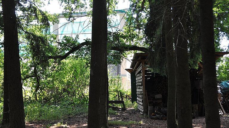 Waldkindergarten Marktheidenfeld: Von der früheren Idylle bleibt durch die Entwicklung des Gewerbes am Dillberg immer weniger übrig. Waldkindergarten Marktheidenfeld: Von der früheren Idylle bleibt durch die Entwicklung des Gewerbes am Dillberg immer weniger übrig.