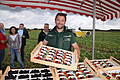 Bei der BBV-Schleppertour #EssenAusBayern zeigte Christian Knaup, wie in seinem Familienbetrieb Beeren und Gurken für den regionalen Verkauf erzeugt werden.