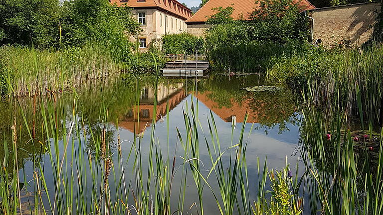 Der große Schwimmteich im Garten der Propstei ist eine Wohlfühloase. Der große Schwimmteich im Garten der Propstei ist eine Wohlfühloase.