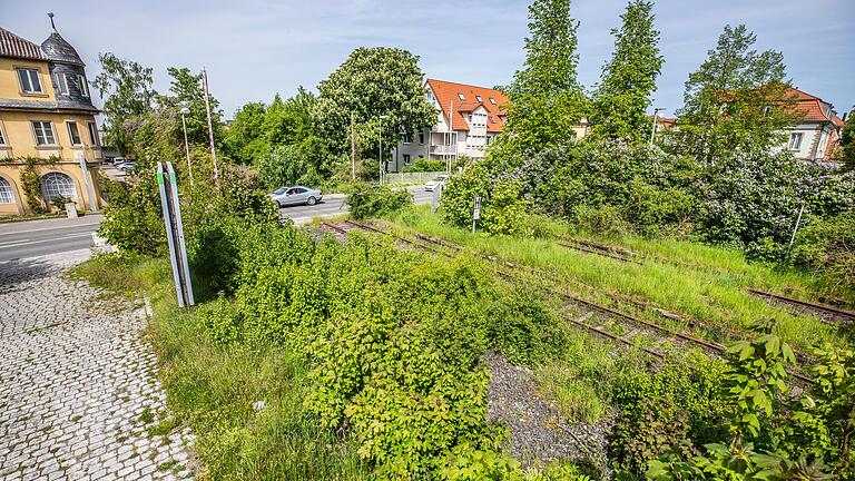 Der mögliche Behelfsweg würde die Fliederhecke zwischen Gleisanlage und dem Parkplatz (rechts im Bild)&nbsp; durchstoßen und quer über die Gleise führen. Zwischen der Werbetafel (links) und der Schranke würde er auf den bestehenden Gehweg stoßen.