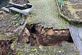 Biber Loch Münnerstadt Schrebergarten       -  Loch im Garten: Der Biber hat den Garten unterhöhlt, bis der Weg darüber einstürzte.