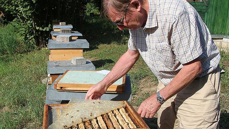 Der Imker beim Öffnen eines Bienenstocks.