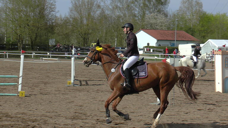 Aus ganz Nordbayern waren  Reitsportler zwischen sechs und 55 Jahren mit ihren Pferden gekommen.