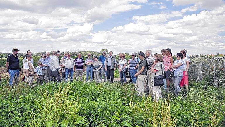 Der Vergangenheit auf der Spur: Der Freundeskreis Vorgeschichte Schweinfurt-Gerolzhofen bei seiner Exkursion am Hermannsee bei Großlangheim, während gerade Werner Gimperlein (links vorne) die frühere Beschaffenheit der Landschaft mit ihrer Tier- und Pflanzenwelt beschreibt. Der Vergangenheit auf der Spur: Der Freundeskreis Vorgeschichte Schweinfurt-Gerolzhofen bei seiner Exkursion am Hermannsee bei Großlangheim, während gerade Werner Gimperlein (links vorne) die frühere Beschaffenheit der Landschaft mit ihrer Tier- und Pflanzenwelt beschreibt.