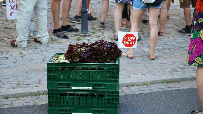 Impressionen von der Protestbewegung 'Stoppt die Salatfabrik'. Im Juni gab es eine Demonstration durch Wiesentheid mit anschließender Kundgebung. Impressionen von der Protestbewegung 'Stoppt die Salatfabrik'. Im Juni gab es eine Demonstration durch Wiesentheid mit anschließender Kundgebung.