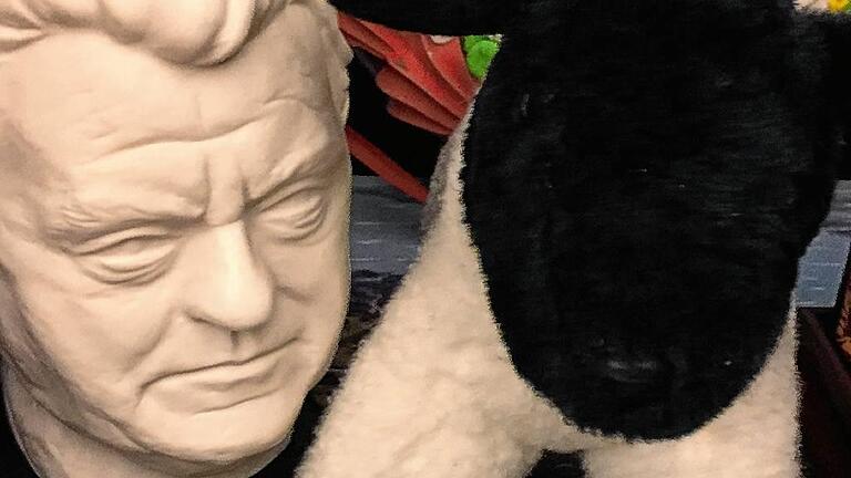 Nippes: Das Rhönschaf steht im Büro an der Seite von Franz Josef Strauß.