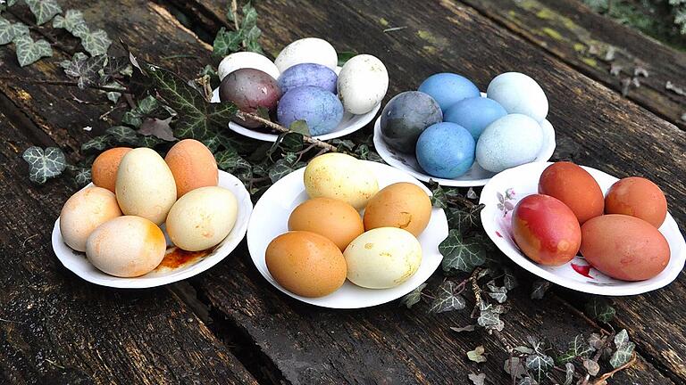 Was wäre Ostern ohne Ostereier? Kräuterführerein Wilma Wolf erklärt, wie man dank natürlicher Zutaten eine bunte Vielfalt zaubert.