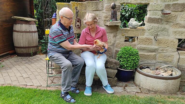 Barbara und Bernhard Schreiber füttern eines ihrer Hühner. Barbara und Bernhard Schreiber füttern eines ihrer Hühner.