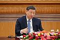 Chinas Staatschef trifft CEOs       -  Chinas Staatschef Xi Jinping wirbt vor internationalen Top-Managern für die Volksrepublik als Standort.