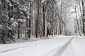 Im Landkreis Kitzingen fiel für viele überraschend an diesem Mittwoch einiges an Schnee, wie hier Steigerwald zwischen Gräfenneuses und Ebersbrunn.