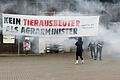Protestaktion von Animal Rebellion       -  Aktivisten hatten auf dem Felßners Hof protestiert, die Polizei ermittelt wegen Hausfriedensbruchs. (Archivbild)