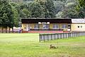 Der Sportverein erhielt nicht nur Lob, sondern auch einen freiwilligen Zuschuss in Höhe von 5000 Euro.