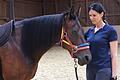 Sandra Steinicke und Therapiepferd Lilly von der Reittherapie in Niederlauer sind ein Team.