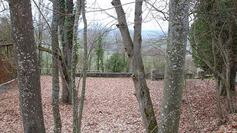 Der Platz unterhalb von Schloss Saaleck ist zwar für Theateraufführungen freigeschnitten, der Ausblick ins Tal ist jedoch zugewachsen.       -  Der Platz unterhalb von Schloss Saaleck ist zwar für Theateraufführungen freigeschnitten, der Ausblick ins Tal ist jedoch zugewachsen.