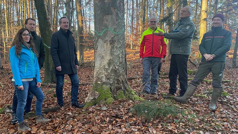Ortstermin mit einem vorbildlichen Waldbesitzer in Sachen Naturschutz (von links): Julia Kleinwechter und der Leiter der Unteren Naturschutzbehörde vom Landratsamt Haßberge Martin Förster, stellvertretender Landrat Michael Ziegler, Waldbesitzer Wilhelm Will, Andreas Leyrer vom Amt für Ernährung, Landwirtschaft und Forsten sowie Revierförster Johannes Erben. Ortstermin mit einem vorbildlichen Waldbesitzer in Sachen Naturschutz (von links): Julia Kleinwechter und der Leiter der Unteren Naturschutzbehörde vom Landratsamt Haßberge Martin Förster, stellvertretender Landrat Michael Ziegler, Waldbesitzer Wilhelm Will, Andreas Leyrer vom Amt für Ernährung, Landwirtschaft und Forsten sowie Revierförster Johannes Erben.