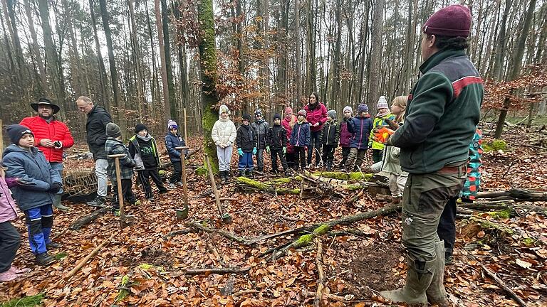 Auf dieser Flächen mitten im Ebelsbacher Gemeindewald fand die Pflanzaktion statt.