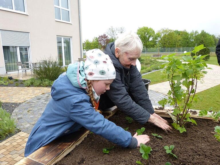 Mitglieder des DPSG Elsenfeld errichteten einen Nasch- und Duftgarten für ein Pflegeheim in Elsenfeld.