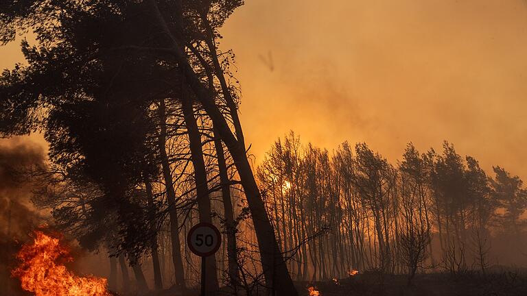 Großbrand nahe Athen - Starker Wind treibt die Flammen unbarmherzig voran Großbrand nahe Athen - Starker Wind treibt die Flammen unbarmherzig voran