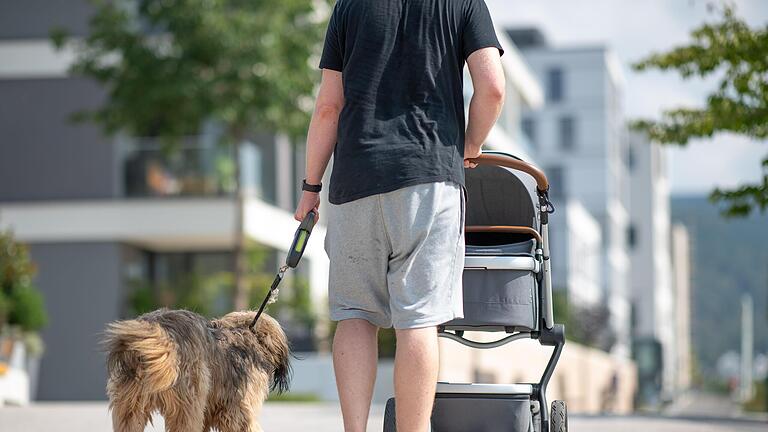 Hund mit Kinderwaagen.jpg       -  Hund und Kinderwagen gleichzeitig zu koordinieren, sollte laut dem Hundetrainer Dirk Biller bereits vor der Geburt geübt werden.