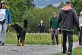 Mit dem Prüfer im 'Schlepptau' waren die Hundebesitzer und ihre Vierbeiner unterwegs. Wie hier Petra Schröder mit ihrem Mischling 'Scotty'.