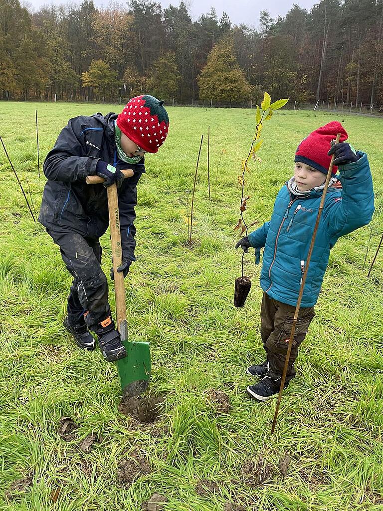 Die Grundschüler pflanzten rund 500 Bäume.