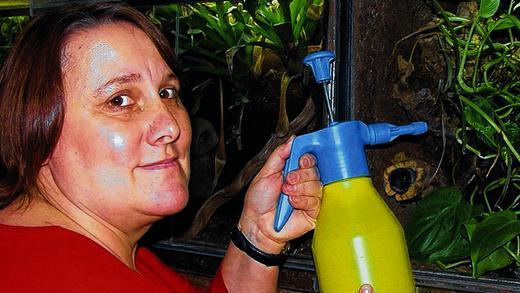 Hohe Luftfeuchtigkeit: Andrea Eckert sprüht Wasser auf die Pflanzen in ihren Terrarien. Das Klima muss dem des tropischen Regenwaldes gleichen.