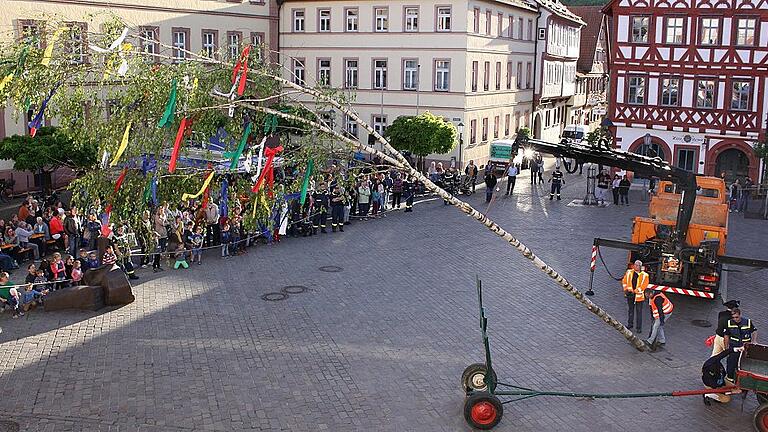 Es lag an den Sicherheitsvorschriften, dass der Maibaum auf dem Karlstadter Marktplatz diesmal per Kran aufgestellt wurde. Es lag an den Sicherheitsvorschriften, dass der Maibaum auf dem Karlstadter Marktplatz diesmal per Kran aufgestellt wurde.