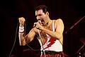TV-Ausblick Arte - &bdquo;Freddie Mercury: Der letzte Akt&rdquo;       -  Der Sänger Freddie Mercury hielt seine Aids-Erkrankung bis kurz vor seinem Tod vor der Öffentlichkeit geheim