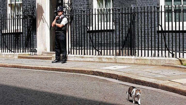 Theresa May to become Britain's Prime Minister       -  Seit 2011 streicht Kater Larry &ndash; hier bei einem Spaziergang &ndash; in Downingstreet 10 durch die Korridore der Macht. Premierminister David Cameron muss gehen &ndash; Larry darf bleiben.
