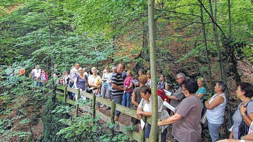 Sichere Hand an der Seite: Heimatliche Pilgerreise zur Klingelbachschlucht       -  (ewie) &bdquo;Licht und Schatten gehören zusammen&ldquo; &ndash; unter diesem Motto unternahmen 56 Personen am Montagabend eine kleine Pilgerreise vom Parkplatz Mainlände Lengfurt zur Klingelbach-Schlucht bei Triefenstein, die das Diözesanbüro Main Spessart in Lohr organisiert hatte. Pater Paul aus Mariabuchen und Johannes Weismantel Leiter Diözesanbüro Lohr führten die Mitpilger mit Gesang und Gebet an den Eingang der Schlucht. Dort warteten praktische Übungen auf die Interessierten. So durften sich alle unterwegs an einer Brücke Augenbinden anlegen, um zu erfahren wie es ist, hilflos zu sein und was es bedeutet eine sichere Hand an der Seite zu wissen. Am Ende der Schlucht bekam jeder Teilnehmer als Symbol einen kleinen Karabinerhaken, der symbolisiert soll, dass Gott uns immer wieder Hilfen zur Verfügung oder Menschen an unserer Seite stellt und es an jedem von uns liegt, diese Hilfen anzunehmen und anderen Helfer zu sein. Einen gemütlichen Abschluss fand  die besinnlichen Veranstaltung bei einer Einkehr auf dem Homburger Weinfest. Beim nächsten &bdquo;Spirituelles Picknick&ldquo; am 9. Oktober ist das &bdquo;Edelweiß&ldquo; in Gambach das Ziel. Start ist um 17 Uhr an der Musikhalle Gambach.